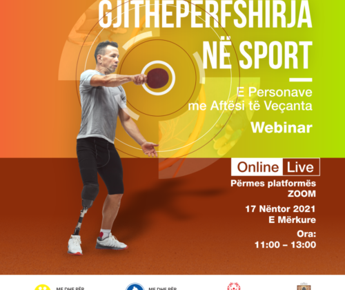 Webinari – Gjithëpërfshirja në Sport e Personave me Aftësi të Veçanta (ENG: The Webinar – Inclusion in Sports of Persons with Disabilities)