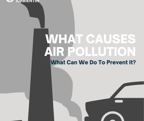 Kampanja Sensibilizuese “Çfarë e Shkakton Ndotjen e Ajrit – Çfarë Mund Të Bëjmë Për Ta Parandaluar Atë?)” (ENG: Awareness Campaign – What Causes Air Pollution – What Can We Do To Prevent It?)