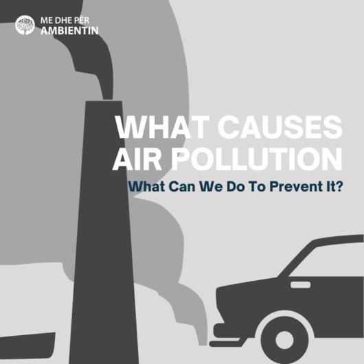Kampanja Sensibilizuese “Çfarë e Shkakton Ndotjen e Ajrit – Çfarë Mund Të Bëjmë Për Ta Parandaluar Atë?)” (ENG: Awareness Campaign – What Causes Air Pollution – What Can We Do To Prevent It?)