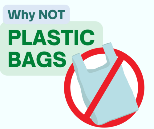 Kampanja Sensibilizuese “Pse jo qese plastike?” (ENG: Awareness Campaign – Why not plastic bags?)