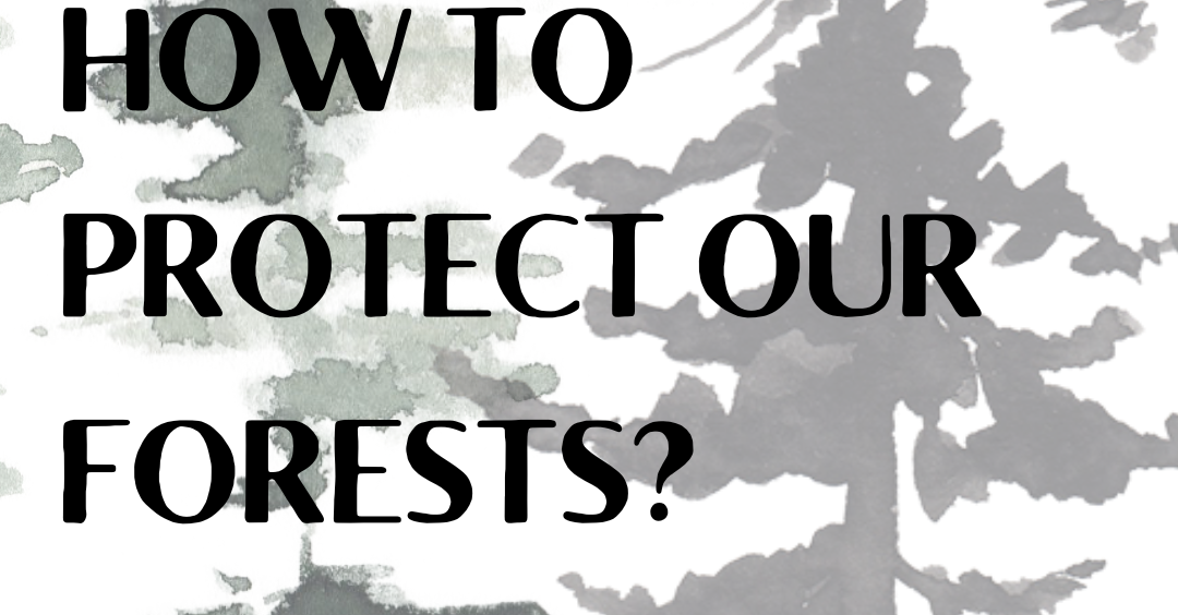 Kampanja Sensibilizuese “Si t’i mbrojmë pyjet tona?” (ENG: Awareness Campaign – How to protect our forests?)